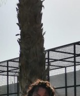  Cindy ontvangt goed en goedkoop in Lokeren  